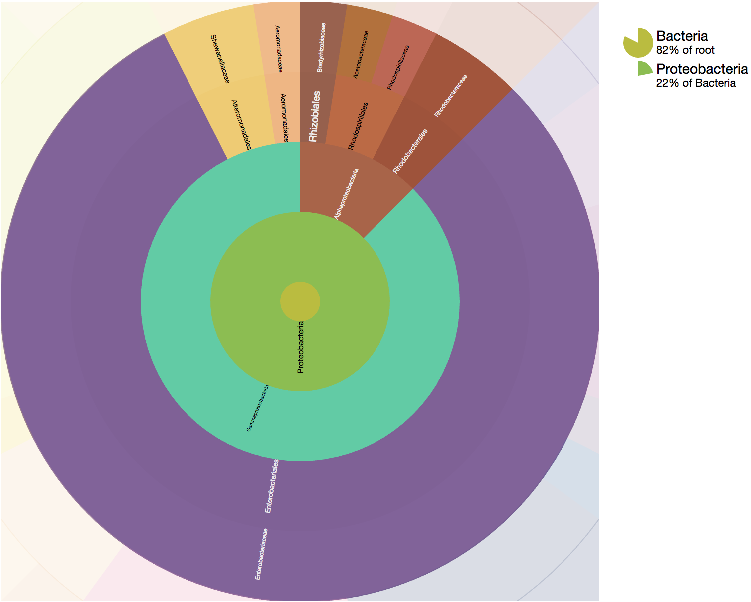 A sunburst of a taxonomic hierarchy