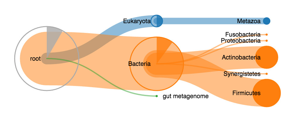 A treeview of a taxonomic hierarchy
